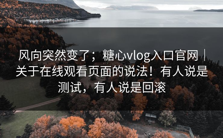 风向突然变了；糖心vlog入口官网｜关于在线观看页面的说法！有人说是测试，有人说是回滚